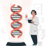 Illustration showing the linkage between genetically abnormalities and bruxism